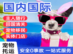 奔牛航空空运国际宠物托运 【国